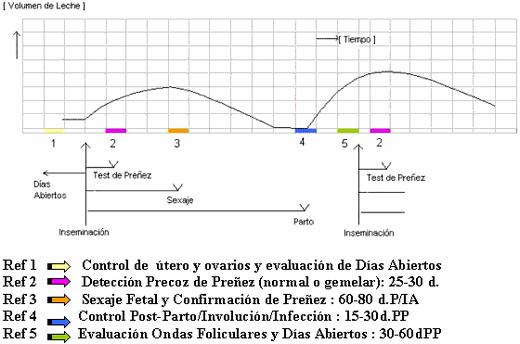 Aplicaciones de la Ecografía en el Manejo Reproductivo del Ganado Lechero - Image 1