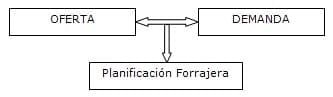 Pautas para el manejo del pastoreo de raigrás - Image 1
