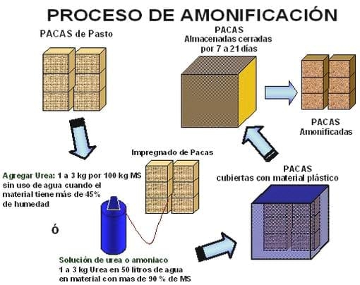 El rumen y su manejo eficiente, Garantizar el éxito en la producción de Bovinos, Bufalinos, Caprinos y Ovinos - Image 2