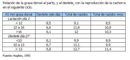 Manejo de la Alimentación de la Cachorra de Reposición - Image 10