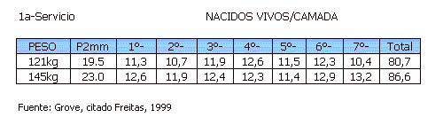 Manejo de la Alimentación de la Cachorra de Reposición - Image 7