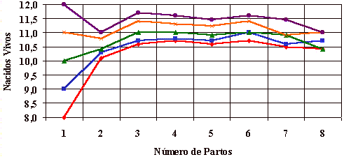 Manejo de la Alimentación de la Cachorra de Reposición - Image 8