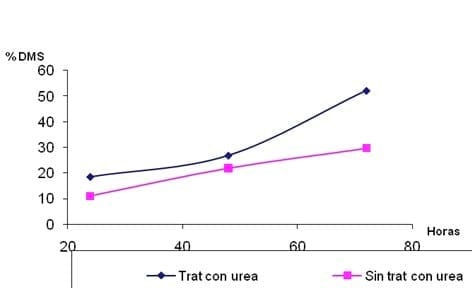 Mejoramiento de la calidad del heno de paja de arroz con tratamiento alcalino - Image 1