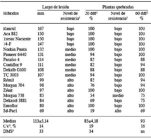 Susceptibilidad de híbridos de girasol (Helianthus annuus) a la podredumbre media del tallo y quebrado caulinar producido por Sclerotinia sclerotiorum - Image 2