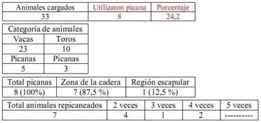 Trabajo Exploratorio Sobre la Utilización de Picanas en Atracaderos Durante la Carga de Hacienda en Camiones, en el Mercado de Liniers. - Image 2
