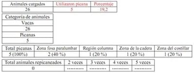 Trabajo Exploratorio Sobre la Utilización de Picanas en Atracaderos Durante la Carga de Hacienda en Camiones, en el Mercado de Liniers. - Image 3