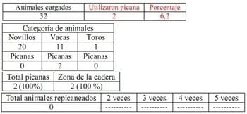 Trabajo Exploratorio Sobre la Utilización de Picanas en Atracaderos Durante la Carga de Hacienda en Camiones, en el Mercado de Liniers. - Image 14