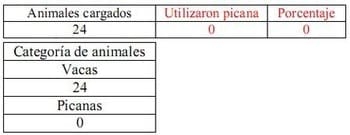 Trabajo Exploratorio Sobre la Utilización de Picanas en Atracaderos Durante la Carga de Hacienda en Camiones, en el Mercado de Liniers. - Image 15