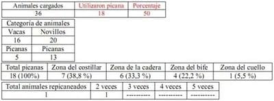Trabajo Exploratorio Sobre la Utilización de Picanas en Atracaderos Durante la Carga de Hacienda en Camiones, en el Mercado de Liniers. - Image 16