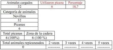 Trabajo Exploratorio Sobre la Utilización de Picanas en Atracaderos Durante la Carga de Hacienda en Camiones, en el Mercado de Liniers. - Image 21