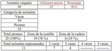Trabajo Exploratorio Sobre la Utilización de Picanas en Atracaderos Durante la Carga de Hacienda en Camiones, en el Mercado de Liniers. - Image 23