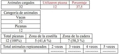 Trabajo Exploratorio Sobre la Utilización de Picanas en Atracaderos Durante la Carga de Hacienda en Camiones, en el Mercado de Liniers. - Image 27