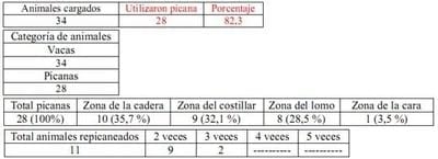 Trabajo Exploratorio Sobre la Utilización de Picanas en Atracaderos Durante la Carga de Hacienda en Camiones, en el Mercado de Liniers. - Image 28