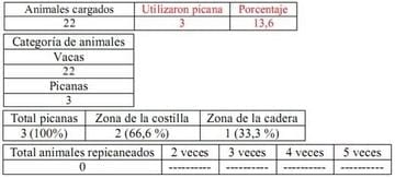 Trabajo Exploratorio Sobre la Utilización de Picanas en Atracaderos Durante la Carga de Hacienda en Camiones, en el Mercado de Liniers. - Image 29