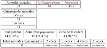 Trabajo Exploratorio Sobre la Utilización de Picanas en Atracaderos Durante la Carga de Hacienda en Camiones, en el Mercado de Liniers. - Image 30