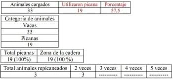 Trabajo Exploratorio Sobre la Utilización de Picanas en Atracaderos Durante la Carga de Hacienda en Camiones, en el Mercado de Liniers. - Image 35