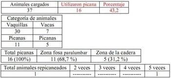 Trabajo Exploratorio Sobre la Utilización de Picanas en Atracaderos Durante la Carga de Hacienda en Camiones, en el Mercado de Liniers. - Image 38
