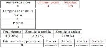 Trabajo Exploratorio Sobre la Utilización de Picanas en Atracaderos Durante la Carga de Hacienda en Camiones, en el Mercado de Liniers. - Image 39