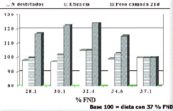 Alimentación de conejas reproductoras - Image 4