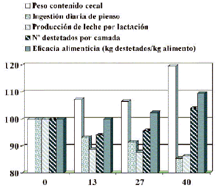 Alimentación de conejas reproductoras - Image 5