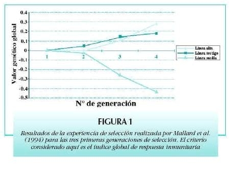 ¿Puede la Genética tener influencia en la aparición o en el agravamiento de las enfermedades? - Image 1
