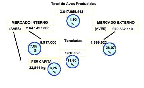 Impacto de la Nutrición de Pollos de Engorde sobre el Medio Ambiente - Image 2
