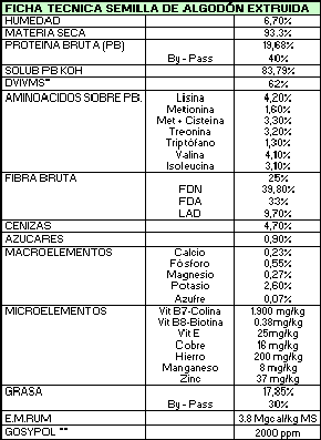 Extrusión de Semilla de Algodón – Fuente de aminoácidos y vitaminas - Image 3
