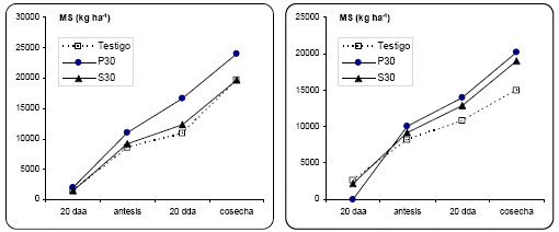 Fertilización de maíz en el norte de la provincia de Buenos Aires - Image 9