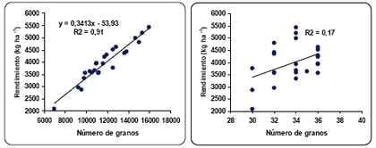 Efecto de fertilización foliar complementaria sobre rendimiento de trigo en siembra directa. - Image 7