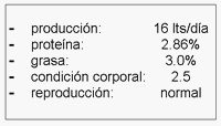 Semilla de algodón extrusionada: Resultados de campo – Suplemento de alta rentabilidad en ganado lechero - Image 1