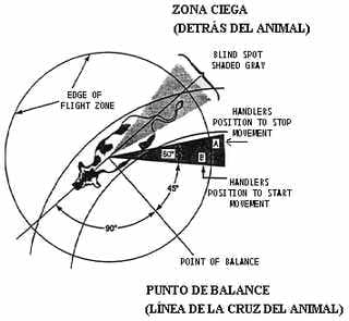 La zona de fuga y el punto de balance: ¿Cómo entenderlos? - Image 2