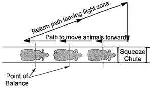 La zona de fuga y el punto de balance: ¿Cómo entenderlos? - Image 6