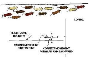 La zona de fuga y el punto de balance: ¿Cómo entenderlos? - Image 9