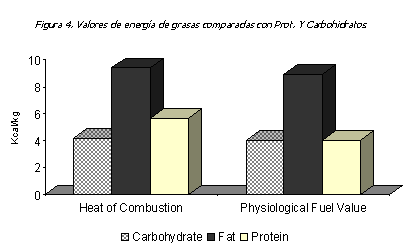 Valor de la grasa amarilla en alimentos balanceados - Image 4