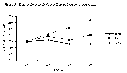Valor de la grasa amarilla en alimentos balanceados - Image 7