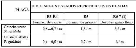 Chinches en Soja: Niveles de decisión para su Control según Especies y Estados del Cultivo - Image 2