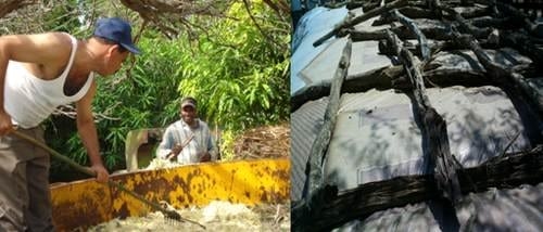 Como Hacer un Programa Forrajero en la Finca - Image 1