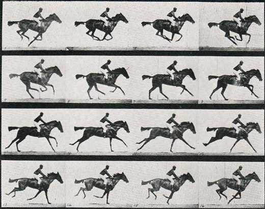 Movimiento del caballo funciones de sus componentes anatomicos y su interaccion con el centro de gravedad manteniendo el concepto del trapecio - Image 1