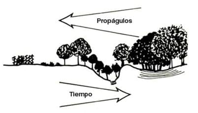 Los ecosistemas agrícolas: necesidad de su conservación - Image 2