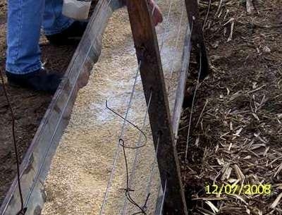 Engorde a corral de vacas de descarte con urea - Image 1
