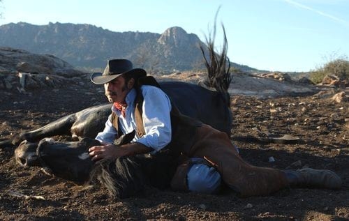 Entrenamiento Emocional asistido con caballos - Image 1