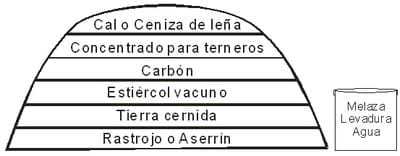 Biofertilizantes. La fermentación - Image 1