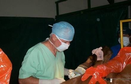 Fractura Proceso Extensor de la tercera falange en equinos - Image 3