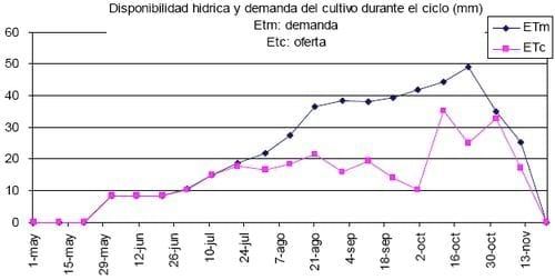 Ensayo de Variedades de Trigo. Campaña 2008 - 2009 - Image 3