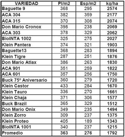 Ensayo de Variedades de Trigo. Campaña 2008 - 2009 - Image 6