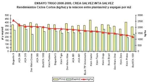 Ensayo de Variedades de Trigo. Campaña 2008 - 2009 - Image 7