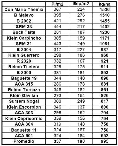 Ensayo de Variedades de Trigo. Campaña 2008 - 2009 - Image 8