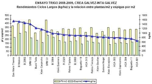 Ensayo de Variedades de Trigo. Campaña 2008 - 2009 - Image 9