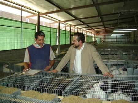 Solución a Cuestiones sanitarias de la granja y uso de Gazapinatech, Resultados - Image 1