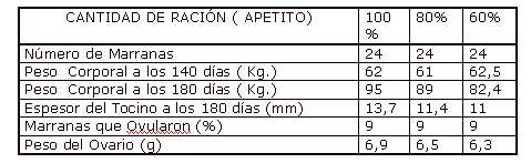 La nutrición y la alimentación de las hembras reproductoras en gestación - Image 1